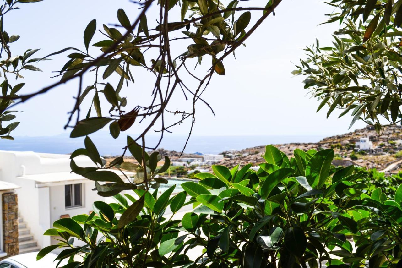 Elma'S Summerhouses Mykonos Town Eksteriør bilde